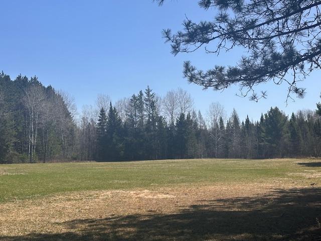 5535 Wahlsten Rd, Embarrass, MN 55732 - view of tree filled area