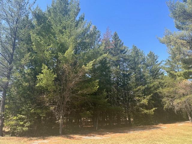 5535 Wahlsten Rd, Embarrass, MN 55732 - view of tree filled area