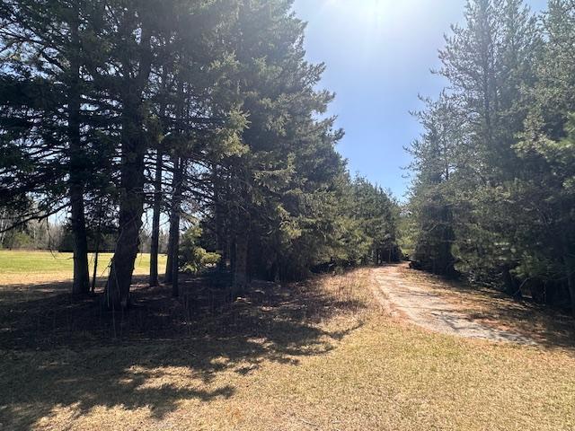 5535 Wahlsten Rd, Embarrass, MN 55732 - view of road