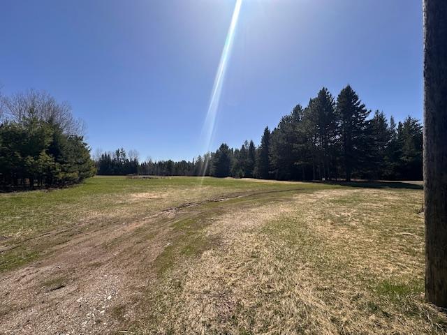 5535 Wahlsten Rd, Embarrass, MN 55732 - view of yard featuring a forest view