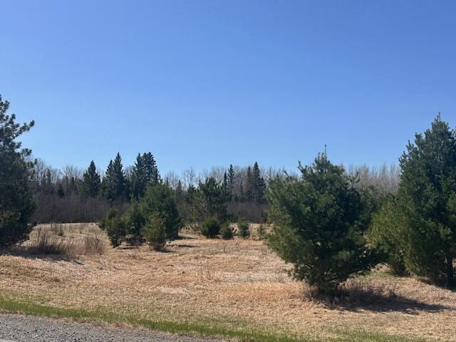 5535 Wahlsten Rd, Embarrass, MN 55732 - view of undeveloped land featuring rural landscape
