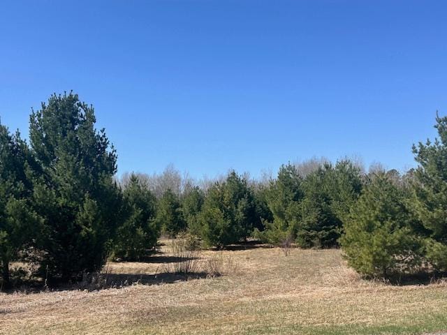 5535 Wahlsten Rd, Embarrass, MN 55732 - view of local wilderness featuring rural landscape