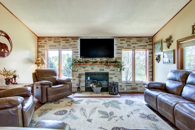 14177 205th St N, Scandia, MN 55073 - living room featuring crown molding, a textured ceiling, wood finished floors, and a fireplace