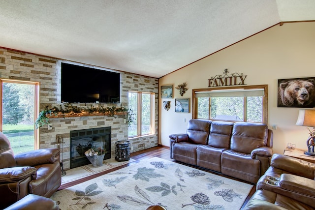 14177 205th St N, Scandia, MN 55073 - living room with lofted ceiling, a textured ceiling, a stone fireplace, wood finished floors, and ornamental molding