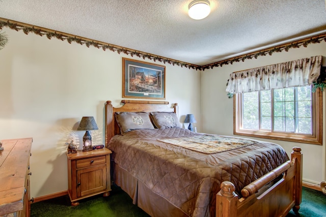 14177 205th St N, Scandia, MN 55073 - bedroom featuring dark carpet and a textured ceiling