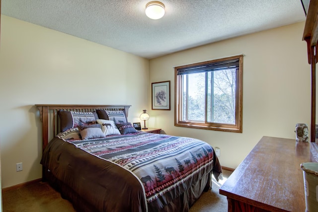 14177 205th St N, Scandia, MN 55073 - carpeted bedroom featuring baseboards and a textured ceiling