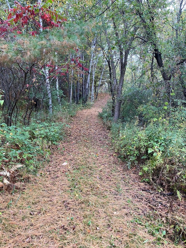 14177 205th St N, Scandia, MN 55073 - view of wooded area
