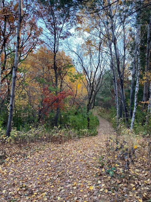 14177 205th St N, Scandia, MN 55073 - view of wooded area
