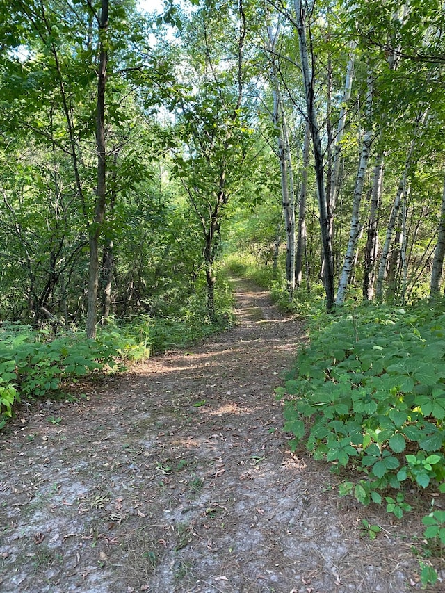 14177 205th St N, Scandia, MN 55073 - view of woods