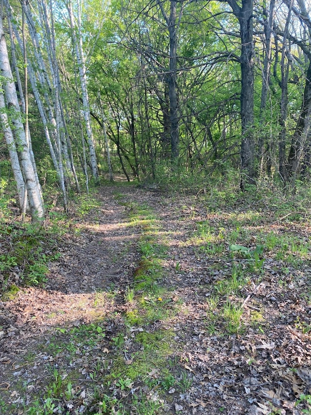 14177 205th St N, Scandia, MN 55073 - view of tree filled area