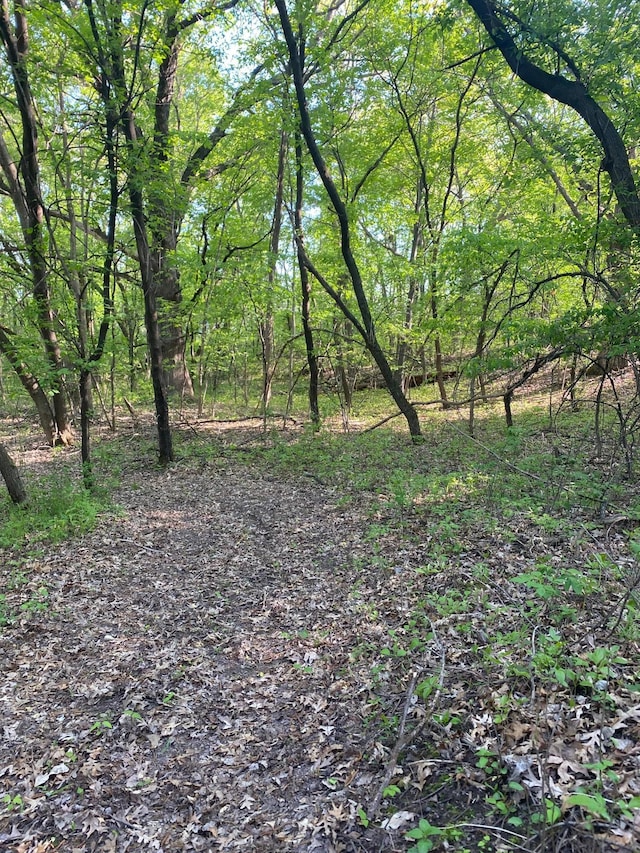 14177 205th St N, Scandia, MN 55073 - view of wooded area
