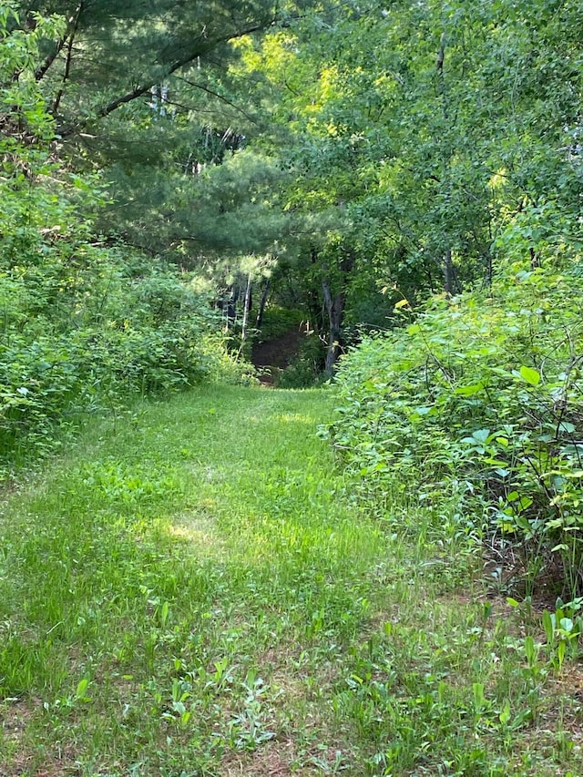 14177 205th St N, Scandia, MN 55073 - view of undeveloped land