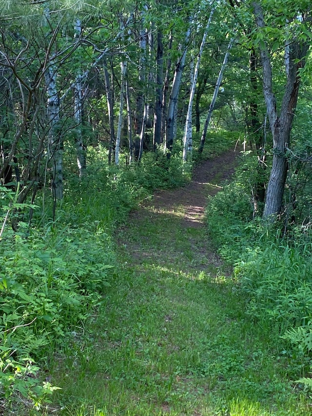 14177 205th St N, Scandia, MN 55073 - view of undeveloped land