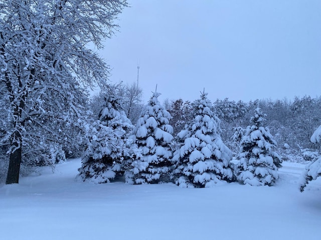 14177 205th St N, Scandia, MN 55073 - view of mountain background