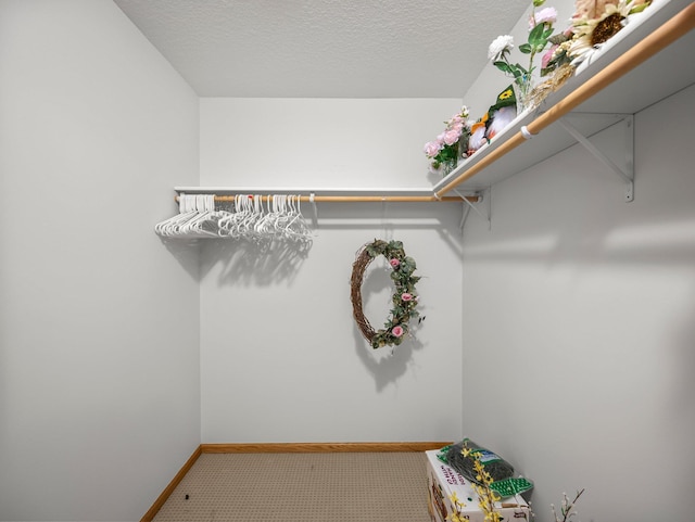2200 142nd Ln NW, Andover, MN 55304 - spacious closet with carpet floors