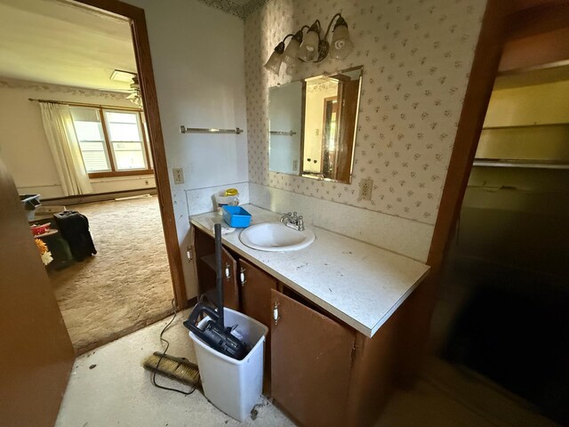 408 Jefferson St, Minneota, MN 56264 - bathroom featuring vanity