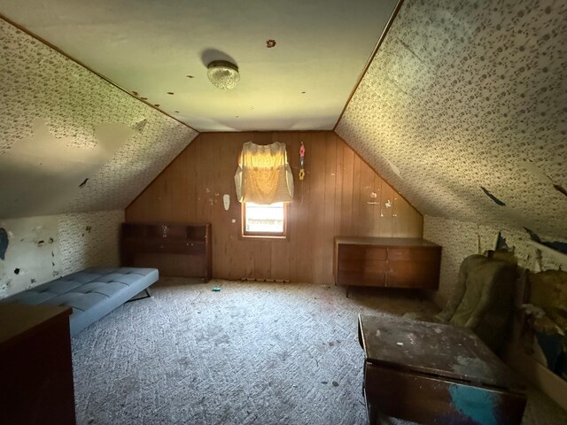 408 Jefferson St, Minneota, MN 56264 - bonus room featuring carpet, lofted ceiling, and wood walls