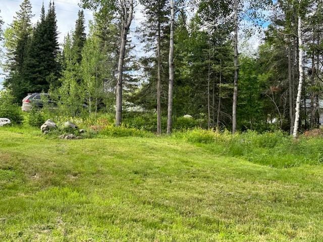 2224 Spalding Dr, Ely, MN 55731