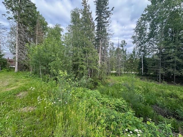 2224 Spalding Dr, Ely, MN 55731