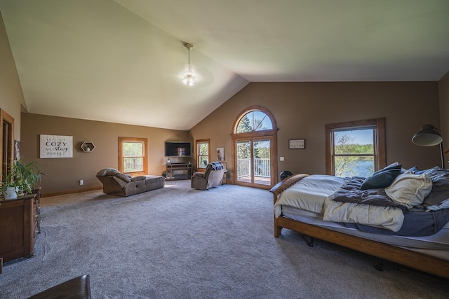 28571 Buffalo Lake Rd, Richwood Twp, MN 56521 - carpeted bedroom with access to exterior and high vaulted ceiling