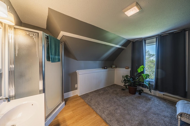 28571 Buffalo Lake Rd, Richwood Twp, MN 56521 - additional living space with a sink, vaulted ceiling, a textured ceiling, and wood finished floors