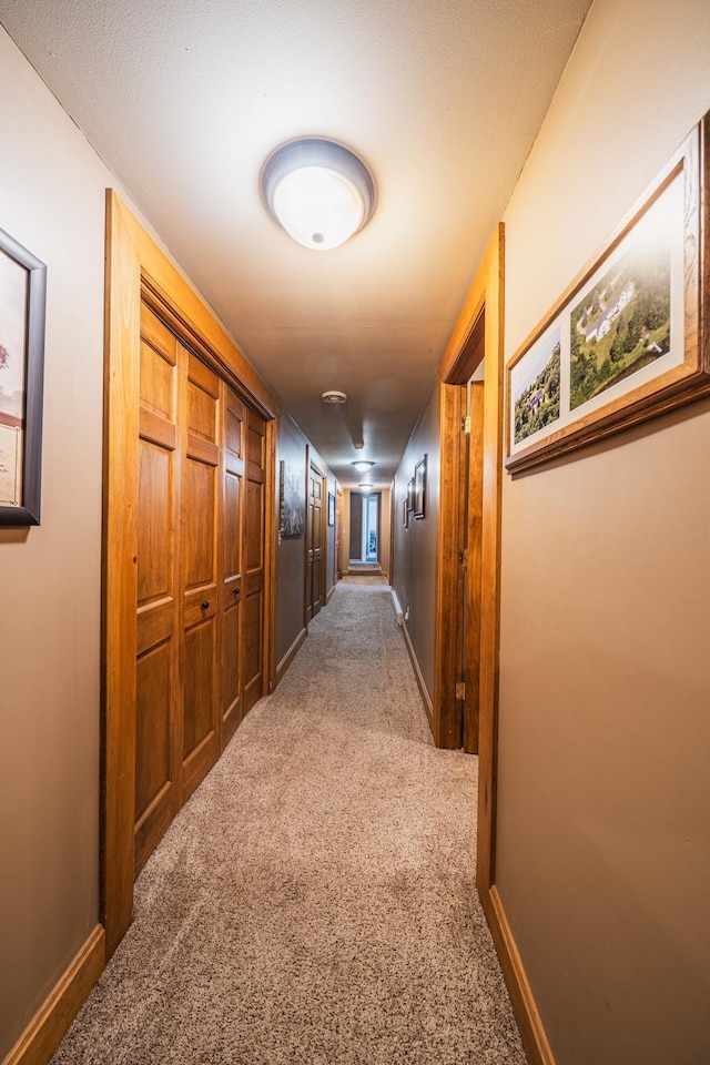 28571 Buffalo Lake Rd, Richwood Twp, MN 56521 - hall featuring carpet and baseboards