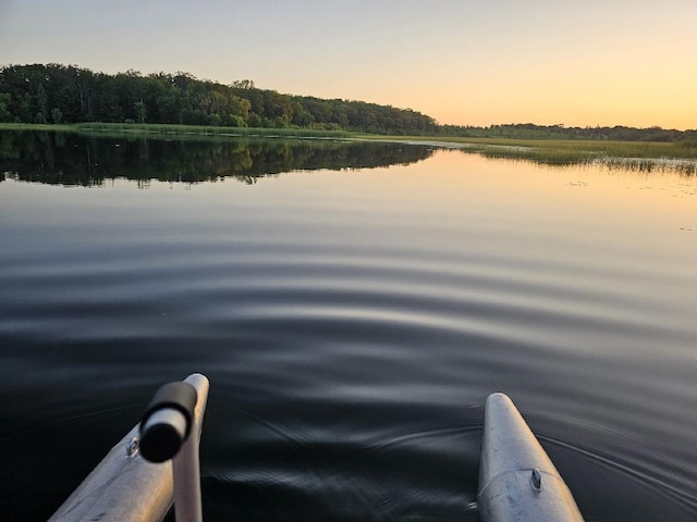 28571 Buffalo Lake Rd, Richwood Twp, MN 56521 - water view featuring a heavily wooded area