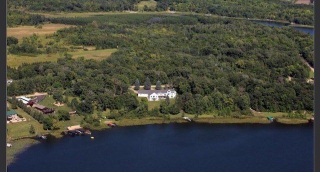 28571 Buffalo Lake Rd, Richwood Twp, MN 56521 - view of property location featuring a forest and a nearby body of water