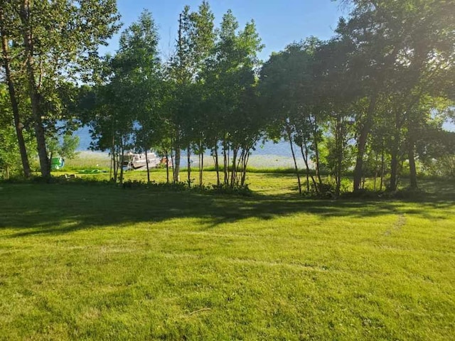 28571 Buffalo Lake Rd, Richwood Twp, MN 56521 - view of grassy yard