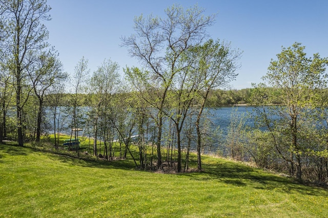 28571 Buffalo Lake Rd, Richwood Twp, MN 56521 - water view