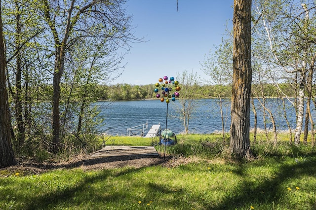 28571 Buffalo Lake Rd, Richwood Twp, MN 56521 - water view featuring a boat dock