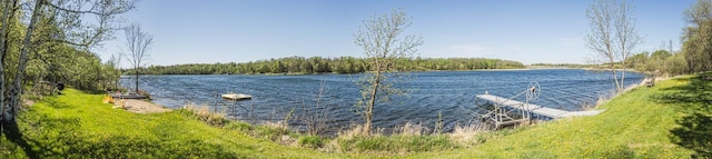 28571 Buffalo Lake Rd, Richwood Twp, MN 56521 - water view with a forest