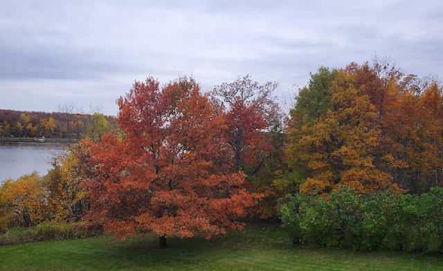 28571 Buffalo Lake Rd, Richwood Twp, MN 56521 - view of green lawn with a view of trees and a water view