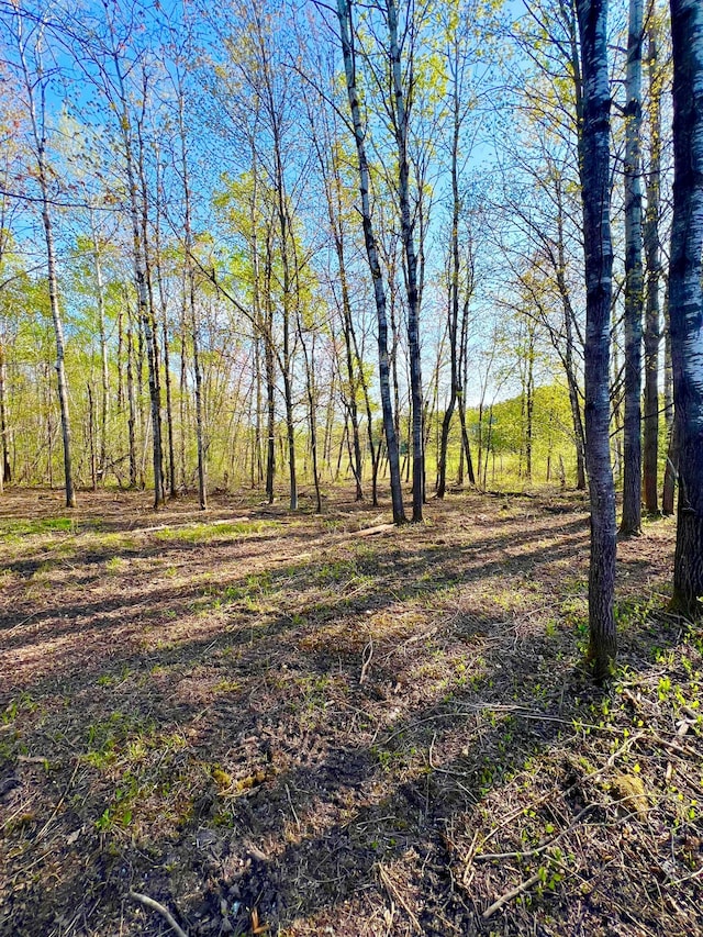 TBD Mallard Place, Sandstone, MN 55072 - photo 1