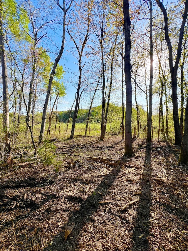 TBD Mallard Place, Sandstone, MN 55072 - photo 2