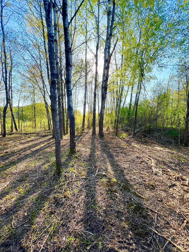 TBD Mallard Place, Sandstone, MN 55072 - photo 4