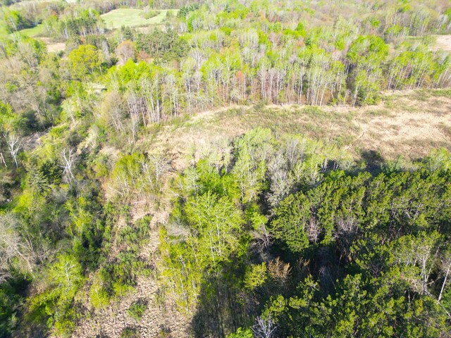 TBD Mallard Place, Sandstone, MN 55072 - photo 7