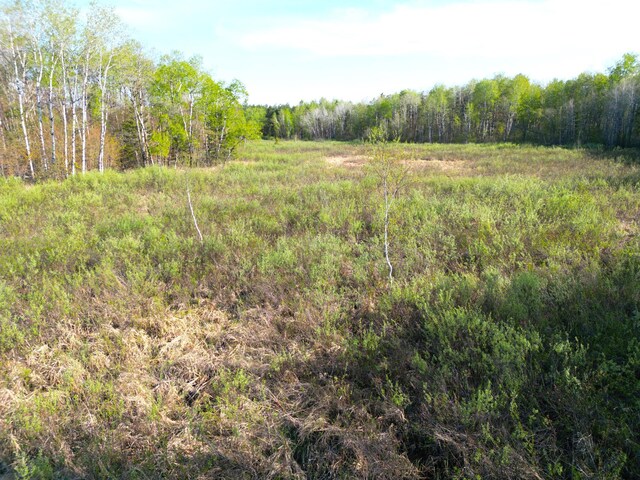 TBD Mallard Place, Sandstone, MN 55072 - photo 12