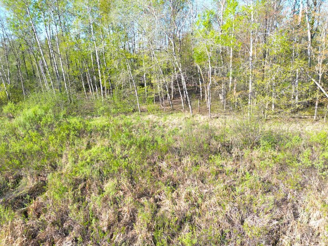 TBD Mallard Place, Sandstone, MN 55072 - photo 13