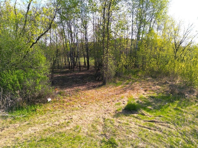 TBD Mallard Place, Sandstone, MN 55072 - photo 15