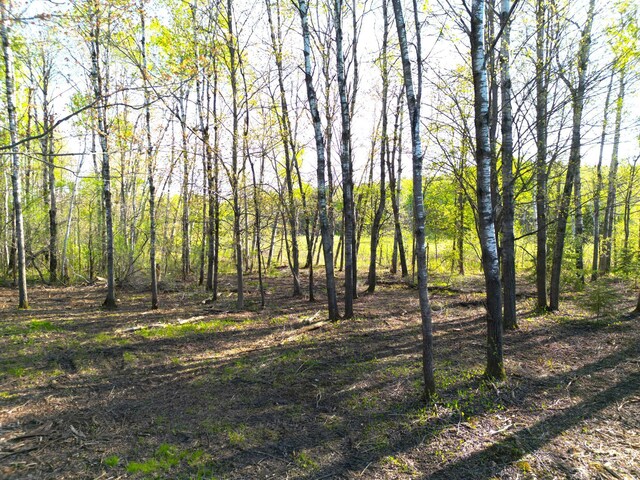 TBD Mallard Place, Sandstone, MN 55072 - photo 17
