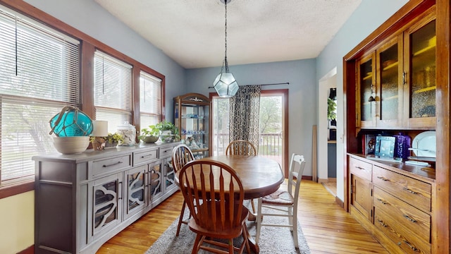 235 2nd Ave N, Isle, MN 56342 - dining space featuring light wood finished floors, a textured ceiling, and baseboards