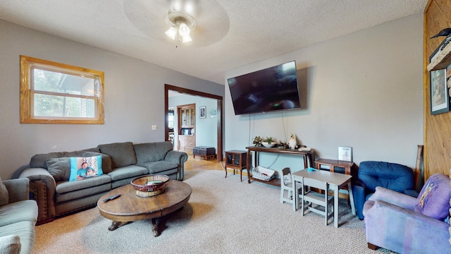 235 2nd Ave N, Isle, MN 56342 - living room with ceiling fan