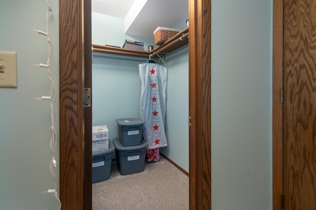 10415 Sorenson Dr, Hayward, WI 54843 - walk in closet featuring carpet flooring
