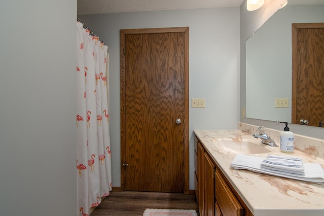 10415 Sorenson Dr, Hayward, WI 54843 - bathroom with wood finished floors, vanity, and a shower with shower curtain