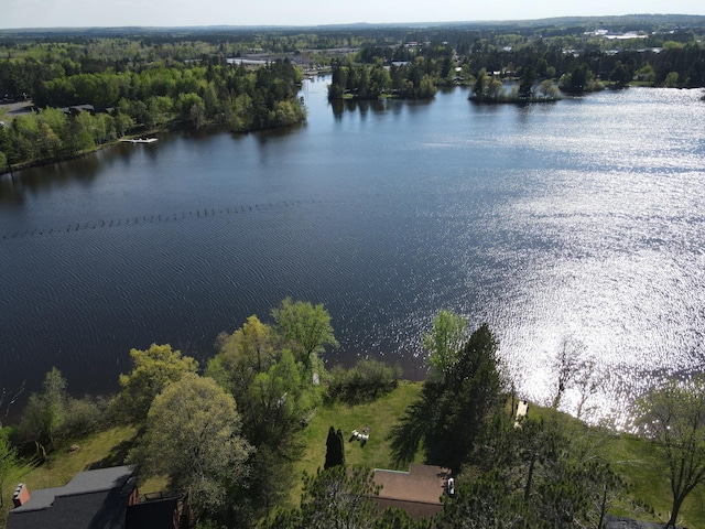 10415 Sorenson Dr, Hayward, WI 54843 - bird's eye view of a nearby body of water and a forest