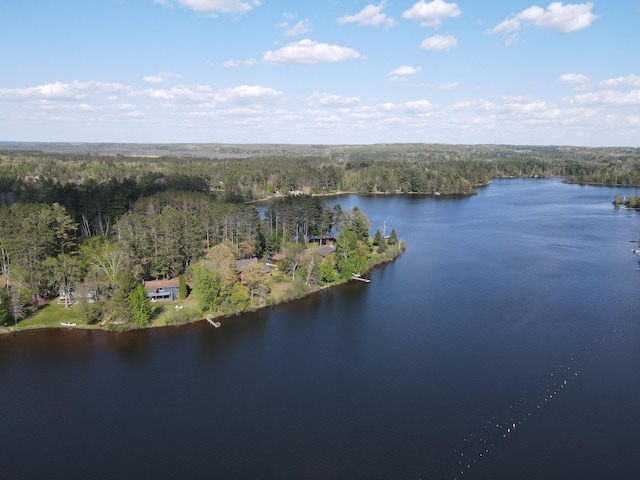 10415 Sorenson Dr, Hayward, WI 54843 - aerial view of property's location featuring a forest and a large body of water