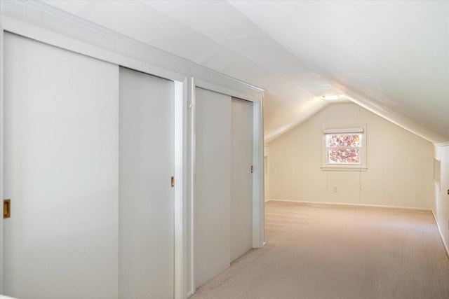 4505 47th Ave S, Minneapolis, MN 55406 - additional living space featuring carpet floors and lofted ceiling