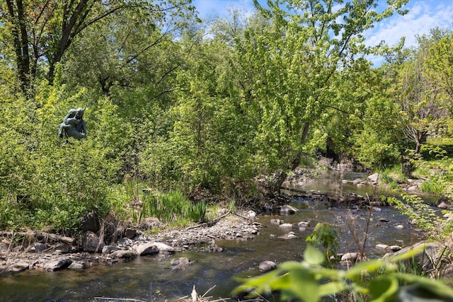 4505 47th Ave S, Minneapolis, MN 55406 - view of wooded area
