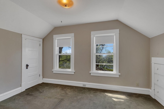 506 Riverside Dr SE, Saint Cloud, MN 56304 - additional living space with vaulted ceiling, carpet floors, and baseboards